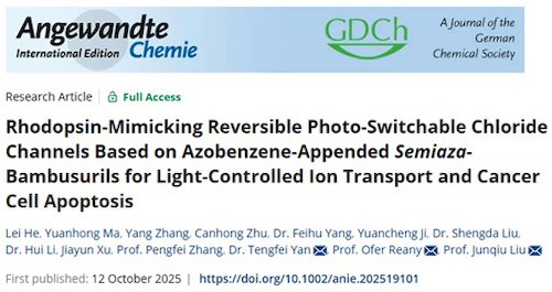 何磊 刘俊秋 Angewandte 1 何磊 刘俊秋 Angewandte 1