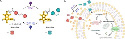 何磊 刘俊秋 Angewandte 何磊 刘俊秋 Angewandte