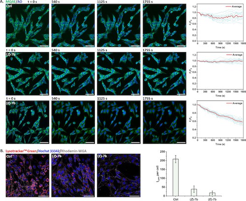 何磊 刘俊秋 Angewandte4 何磊 刘俊秋 Angewandte4